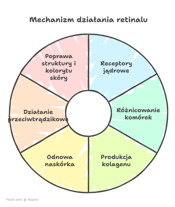 Mechanizm jak działa retinal